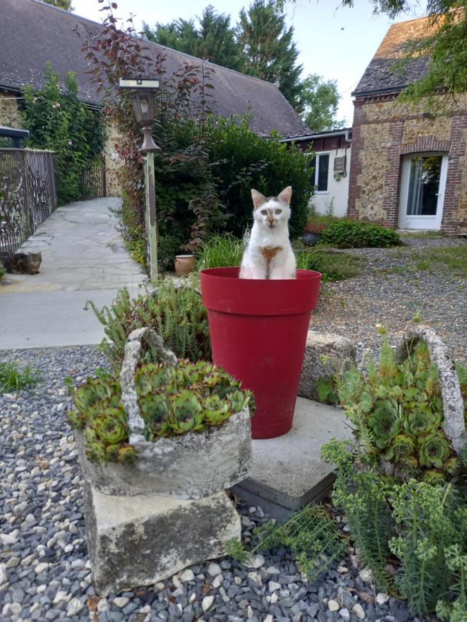 Chez Noelle Bed and Breakfast Illiers-Combray Esterno foto