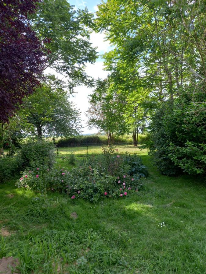 Chez Noelle Bed and Breakfast Illiers-Combray Esterno foto