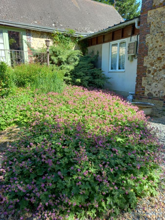 Chez Noelle Bed and Breakfast Illiers-Combray Esterno foto