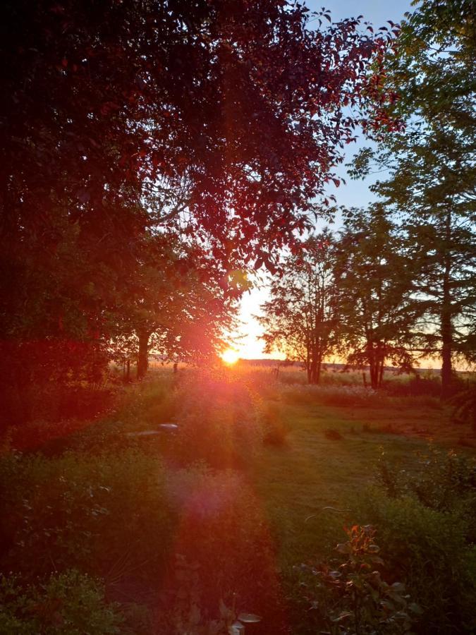 Chez Noelle Bed and Breakfast Illiers-Combray Esterno foto